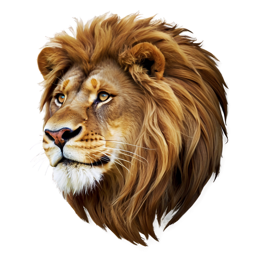 Lion Zodiac Sign Png 30