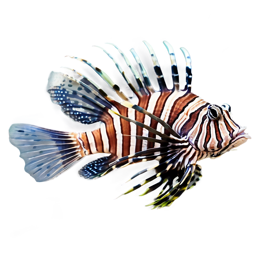 Lionfish Aquarium Png 47