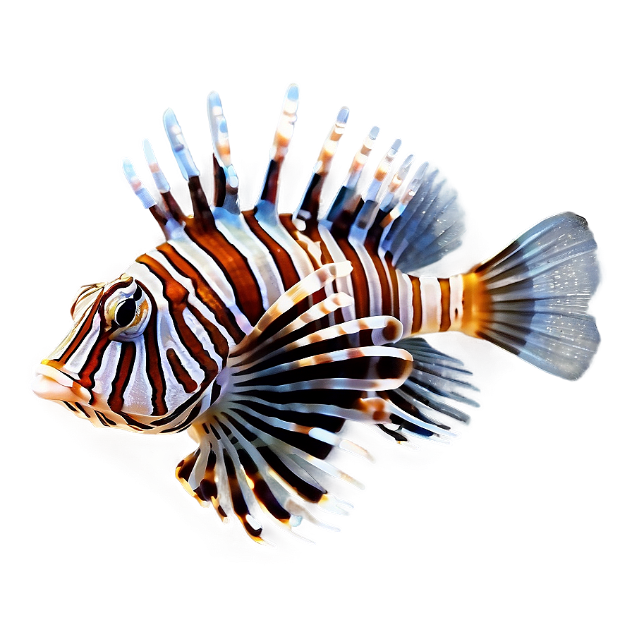 Lionfish Aquarium Png Bhe