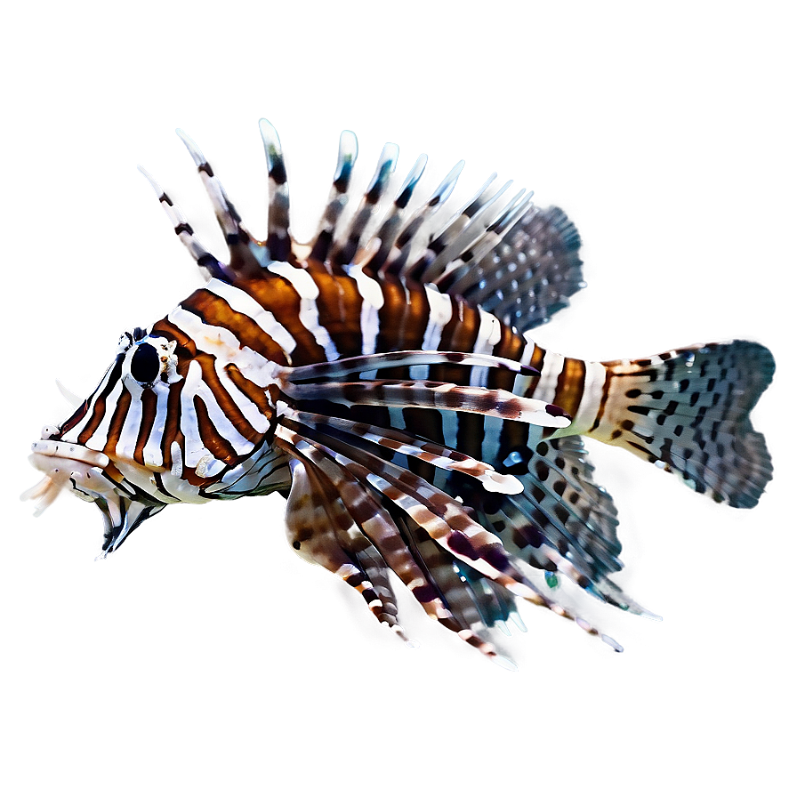 Lionfish Attack Png Uyy73