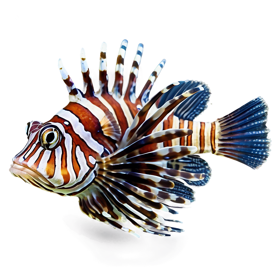 Lionfish Camouflage Png 3