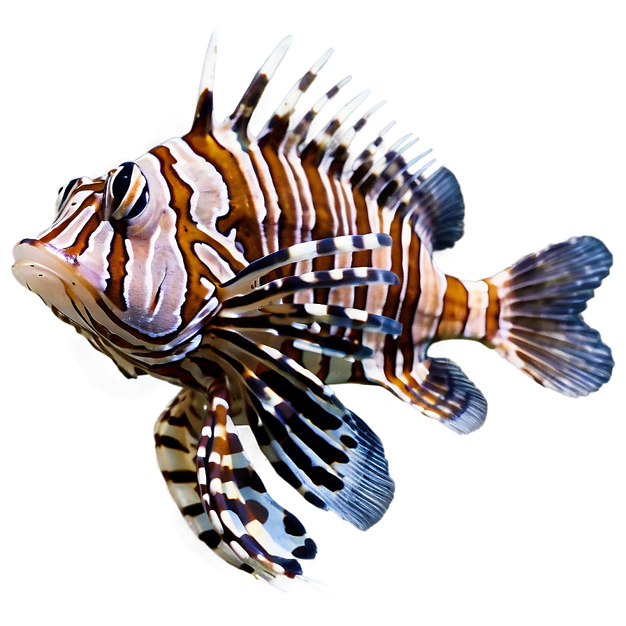 Lionfish Close-up Png Mse