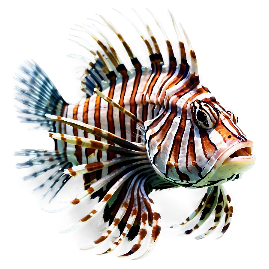 Lionfish Danger Png Nbm