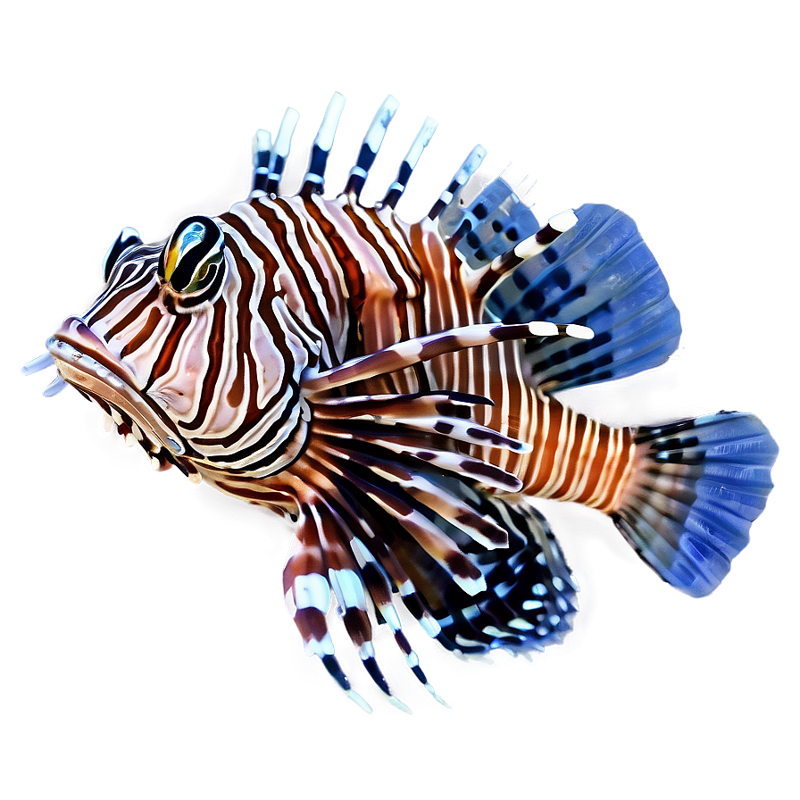 Lionfish In Blue Water Png 64