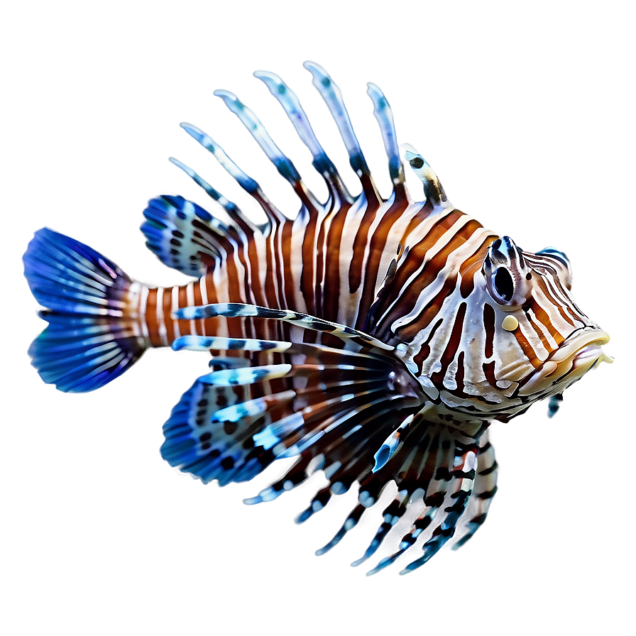 Lionfish In Blue Water Png Did