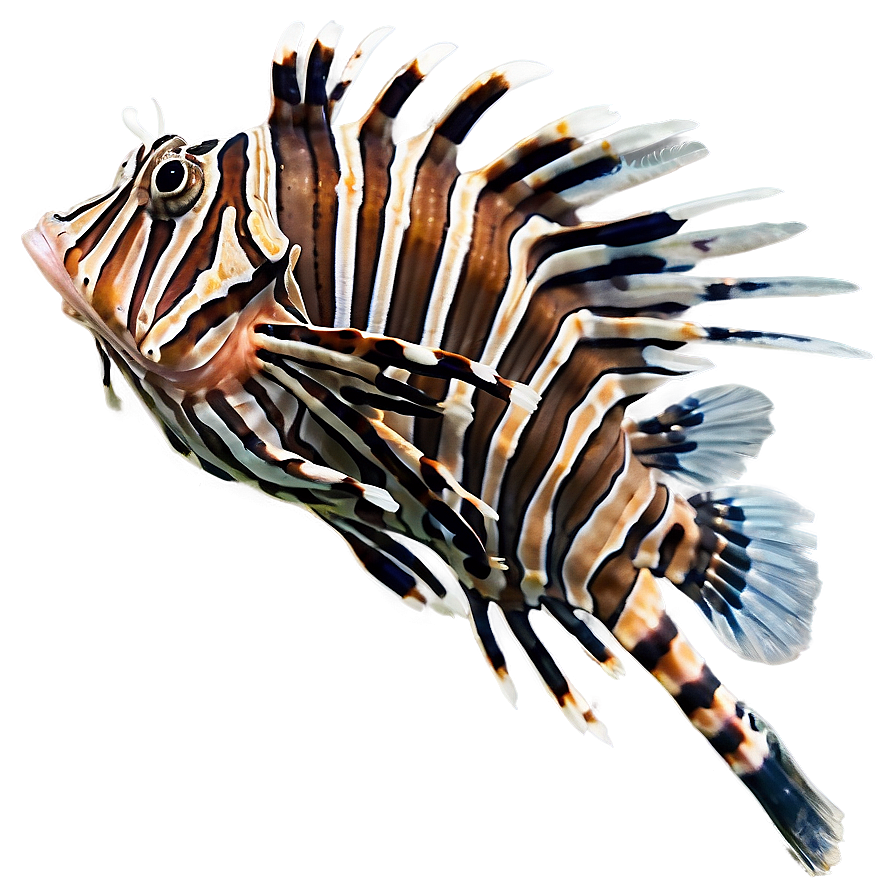 Lionfish In Natural Habitat Png 06292024