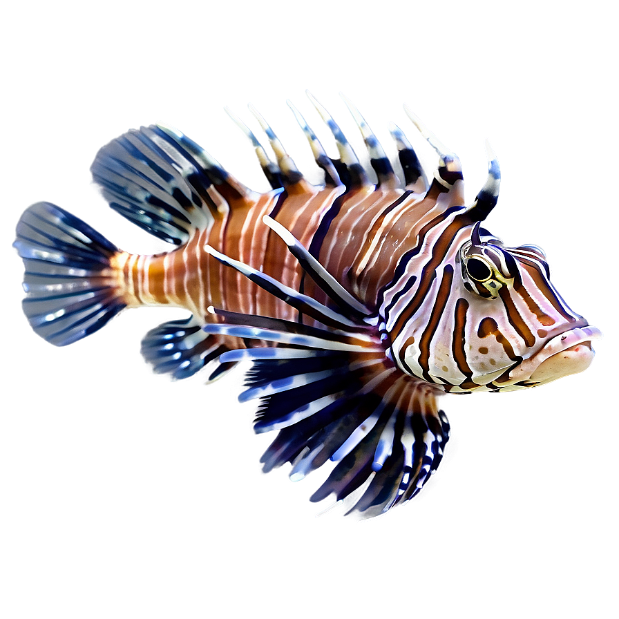 Lionfish In The Sea Png 17