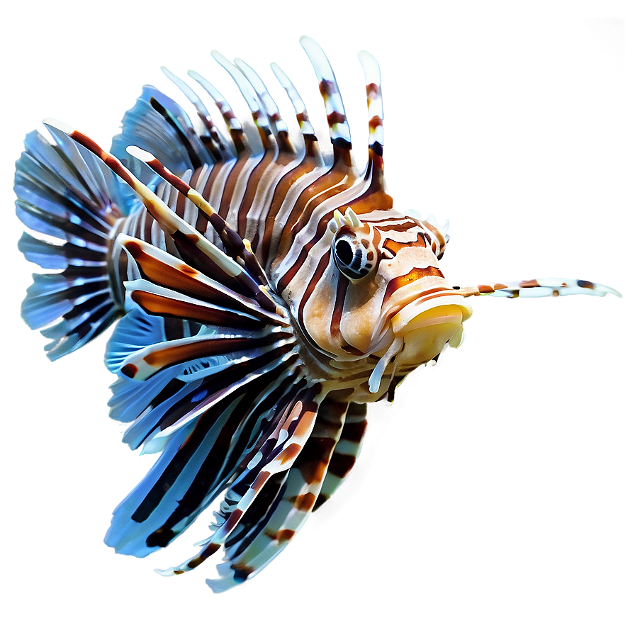 Lionfish Marine Life Png 89