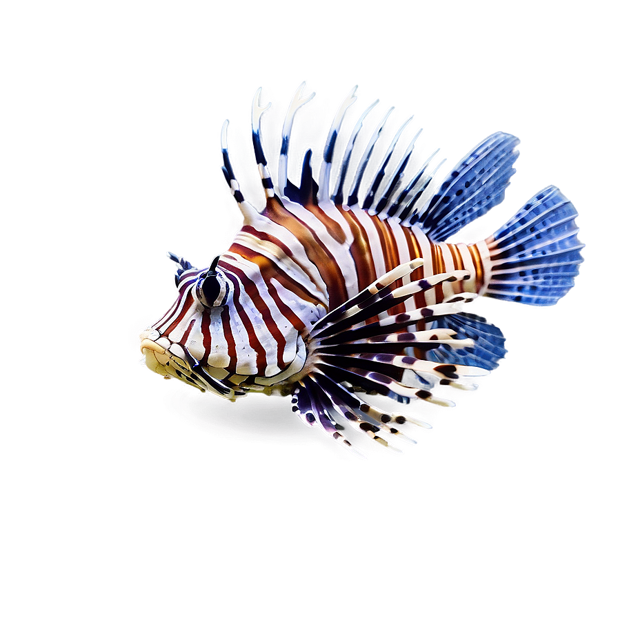 Lionfish Poison Png Pol75