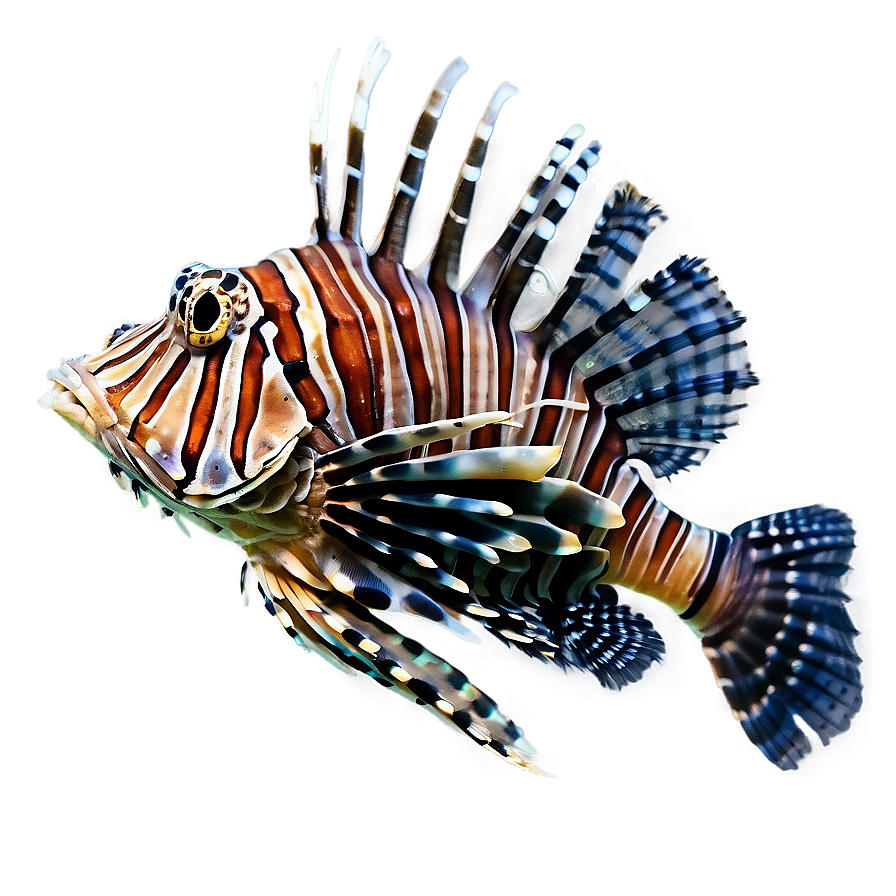 Lionfish Profile Png Dol65