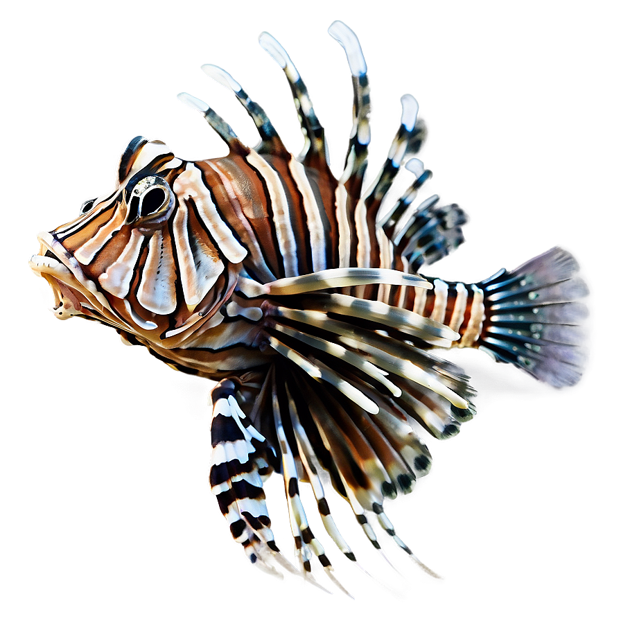 Lionfish Side View Png Qkd50