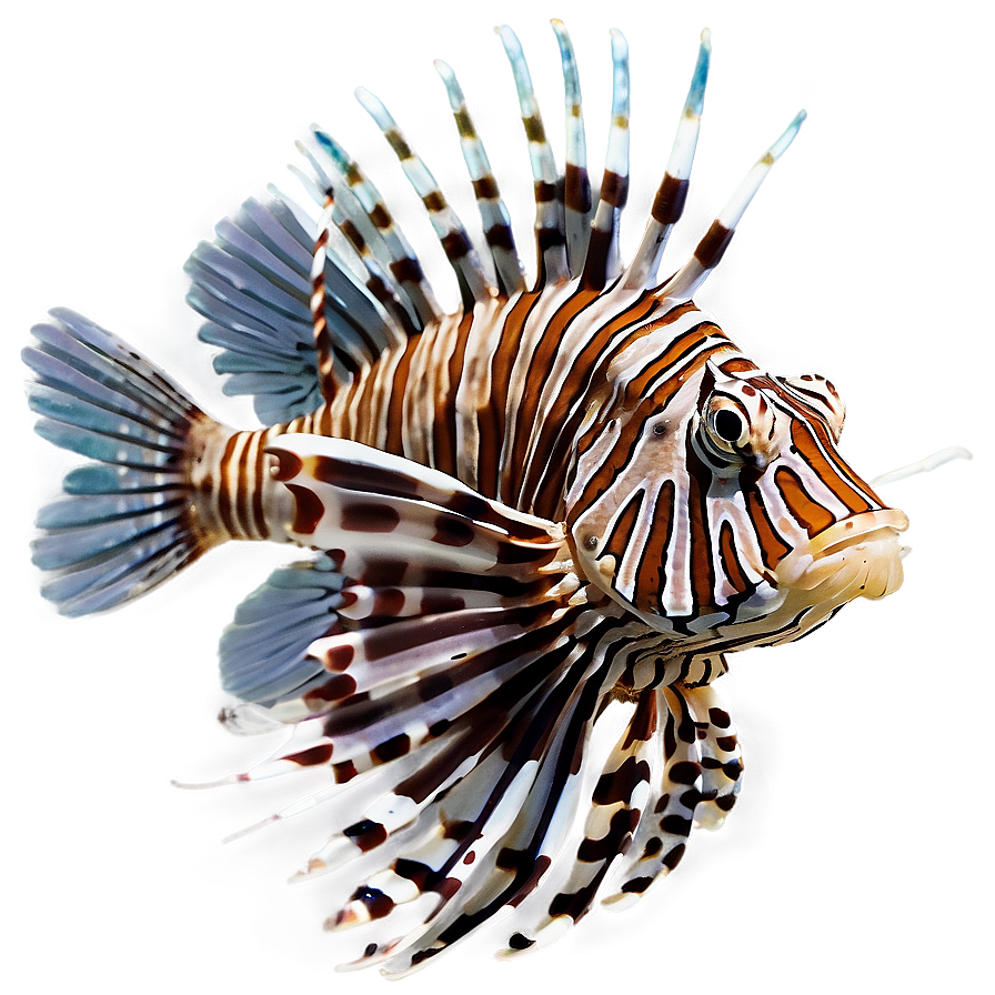 Lionfish Swimming Png Geq96