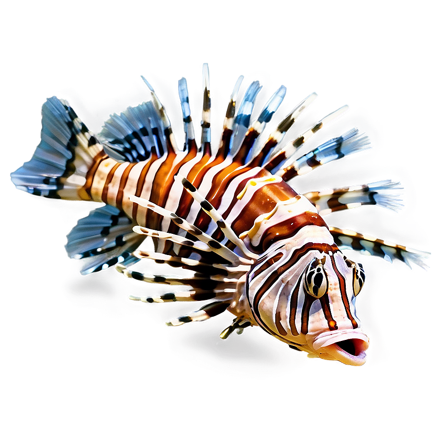 Lionfish Threat Png 44