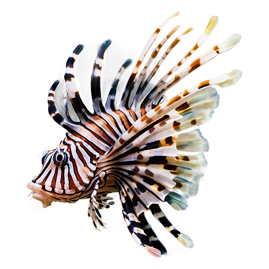 Lionfish Threat Png 9