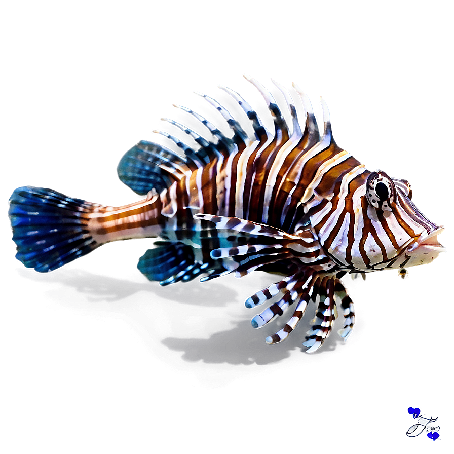 Lionfish With Vibrant Colors Png Ngo38