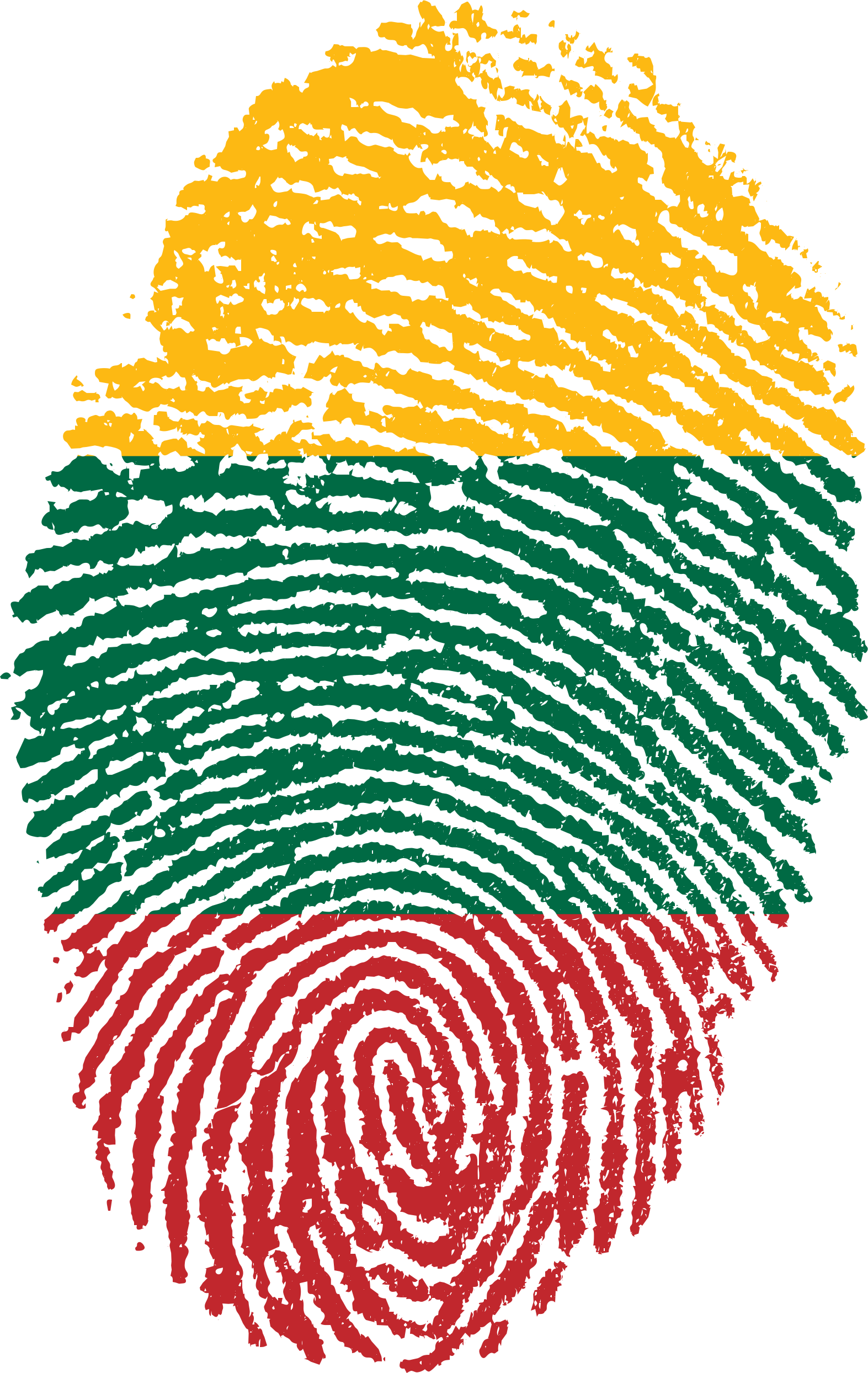 Lithuanian Fingerprint Flag Art