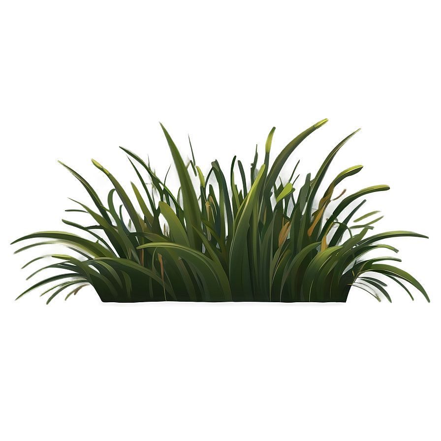 Lively Cartoon Grass Png 06122024