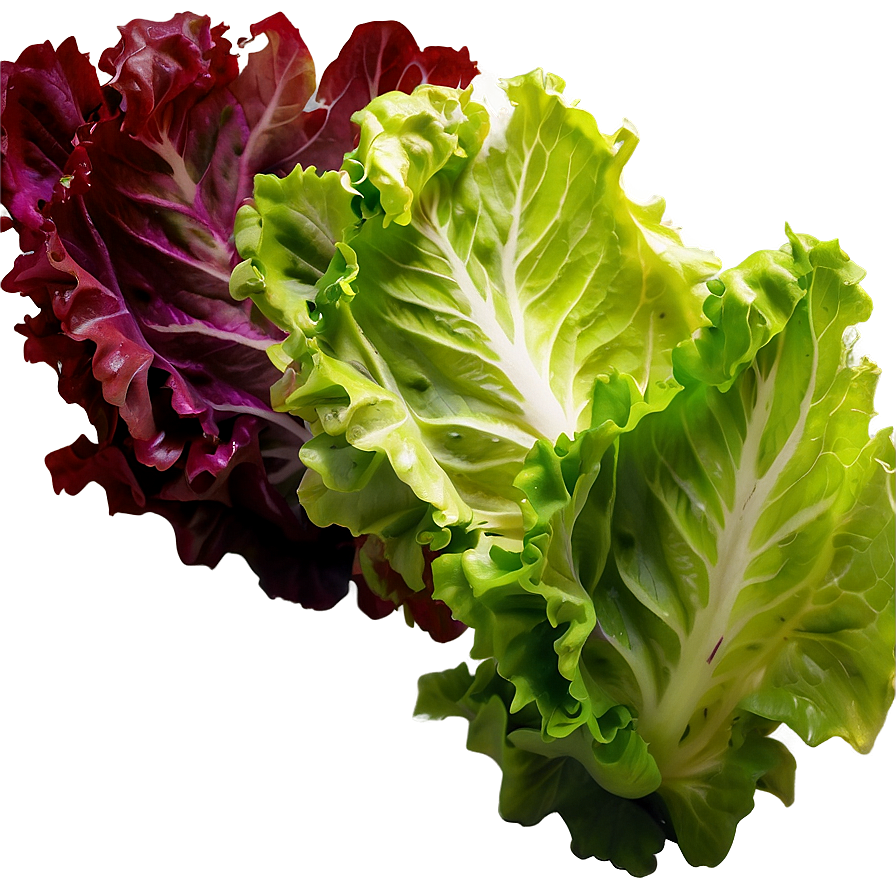 Lollo Rosso Lettuce Png Euq