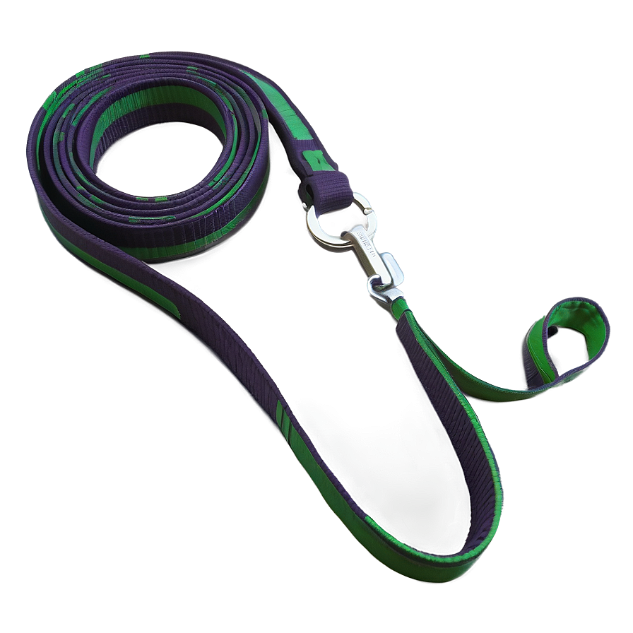 Long Dog Leash Png 06132024