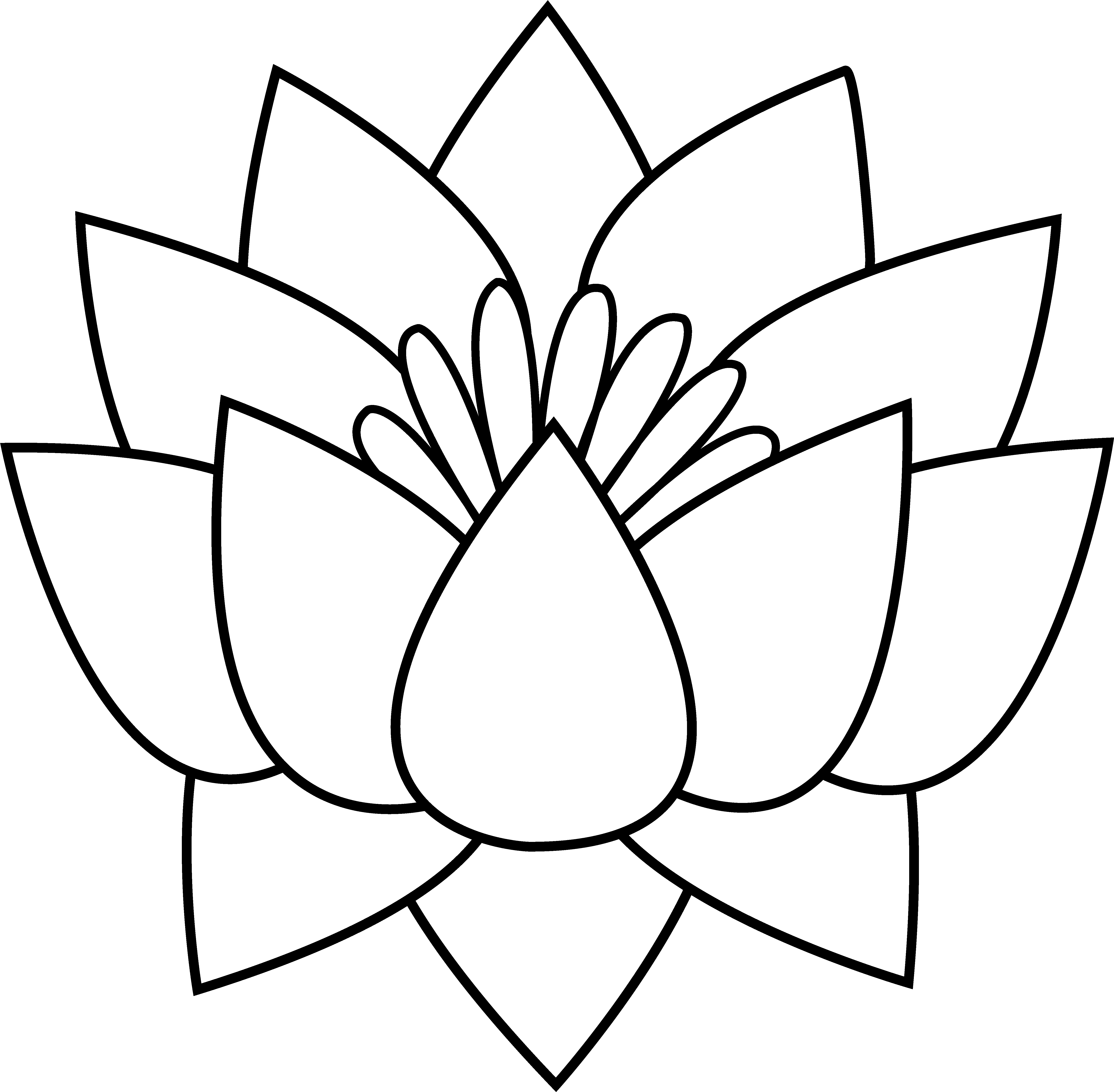 Lotus Flower Line Art Drawing