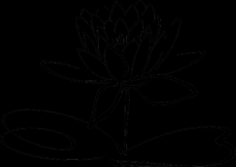 Lotus Flower Outline