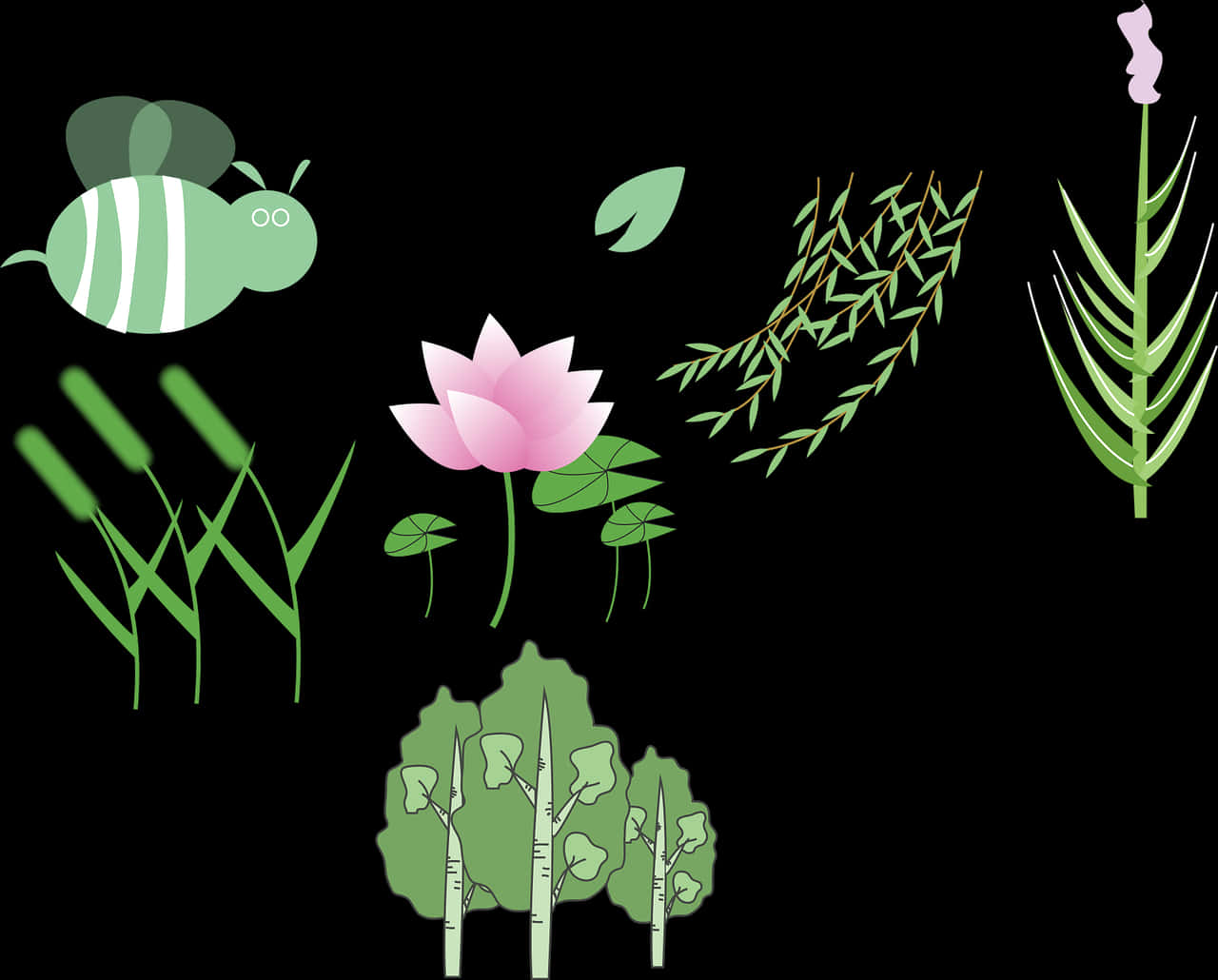 Lotusand Nature Vector Illustration