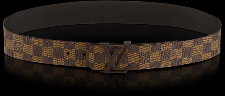 Louis Vuitton Monogram Belt Product Shot