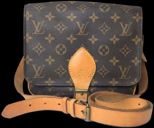 Louis Vuitton Monogram Canvas Bag