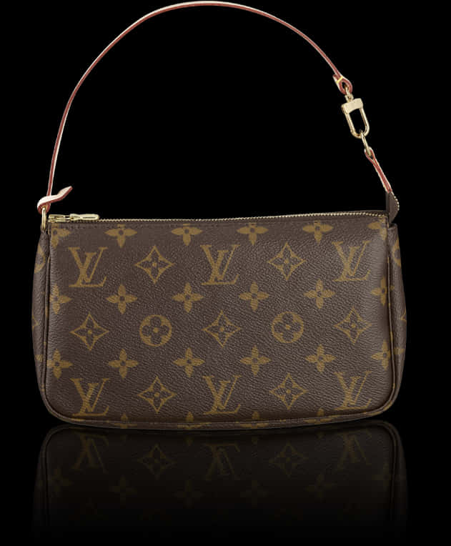 Louis Vuitton Monogram Canvas Pochette