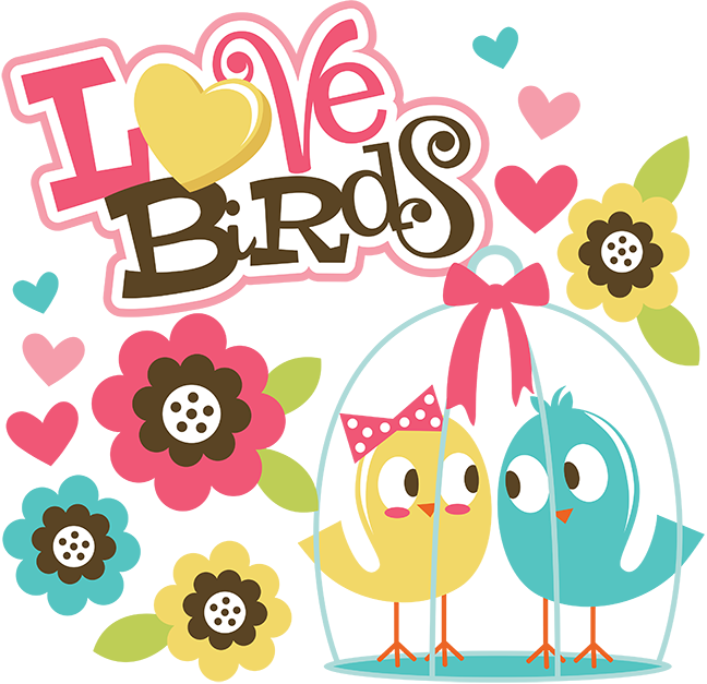 Love Birds Cute Cartoon Illustration