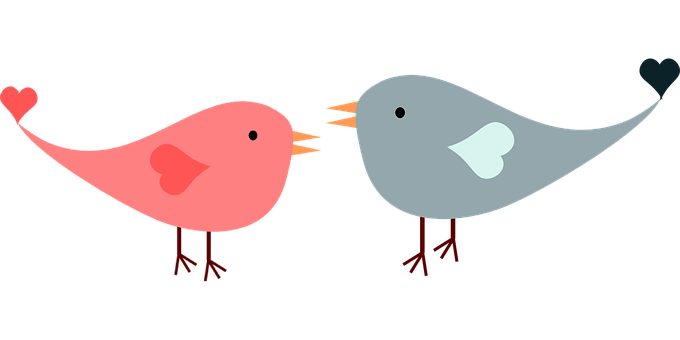 Lovebird Cartoon Illustration