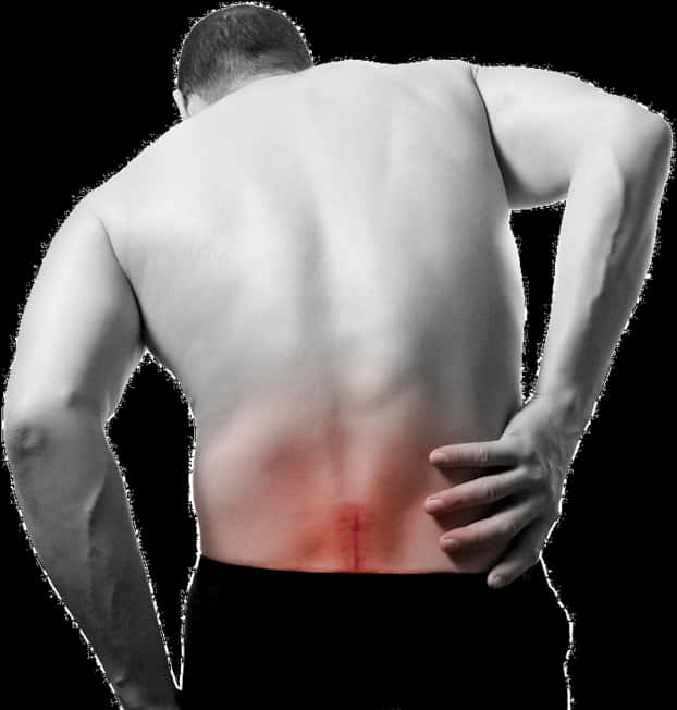 Lower Back Pain Representation