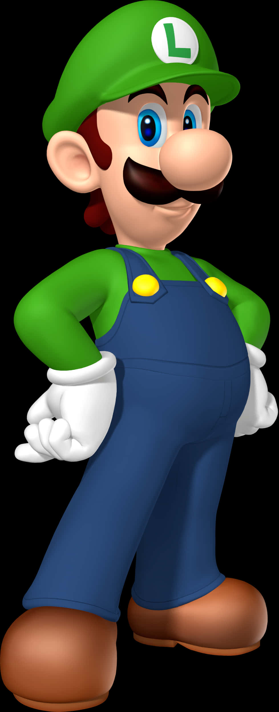 Luigi Classic Video Game Character