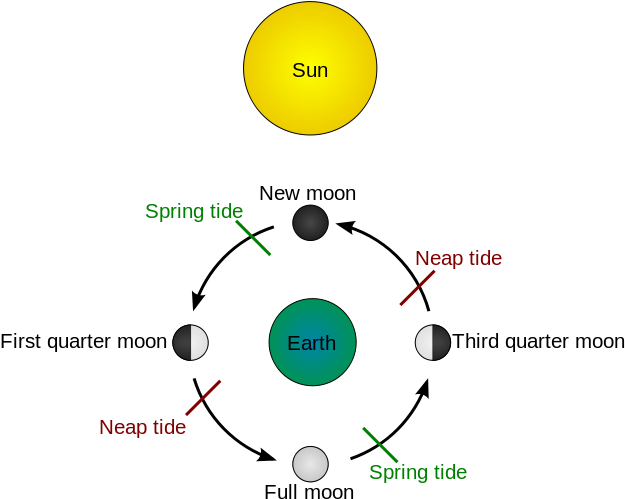 Lunar Phasesand Tides Cycle