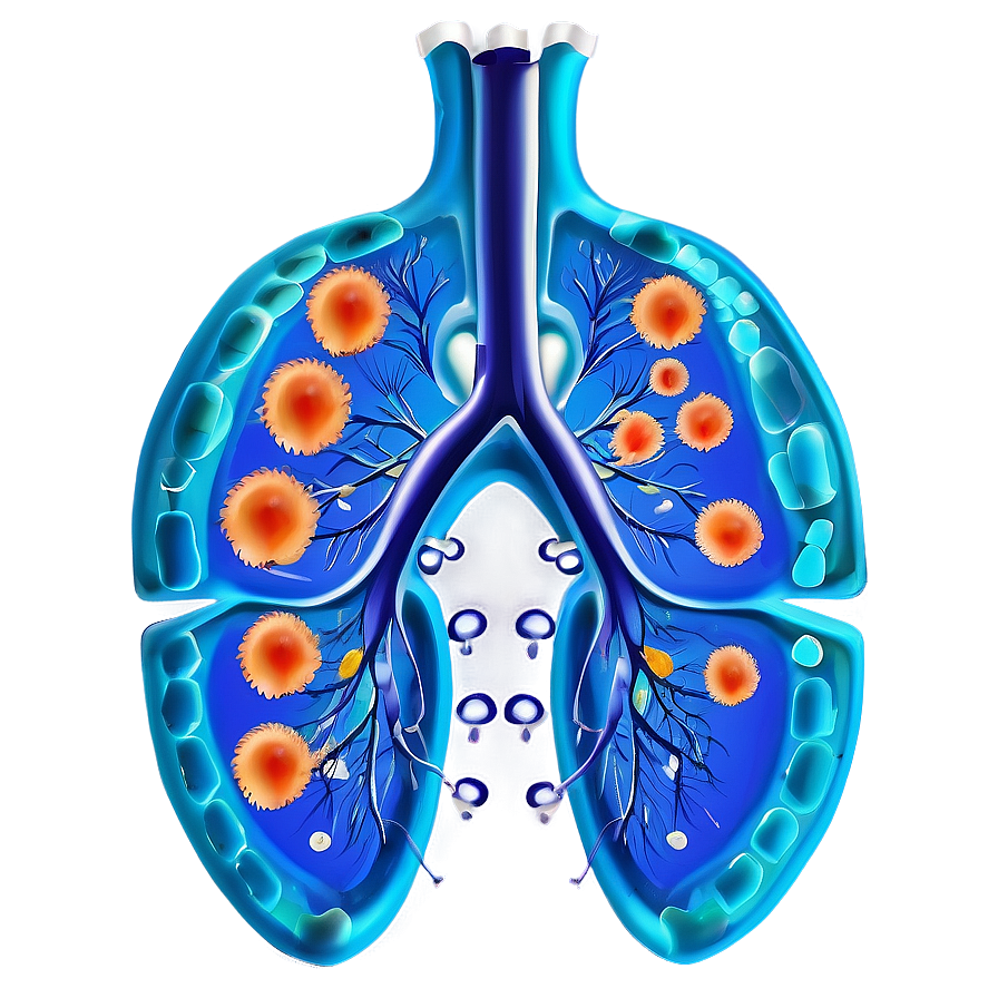 Lung Cells Respiratory Png 91