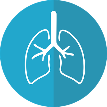 Lung Icon Graphic