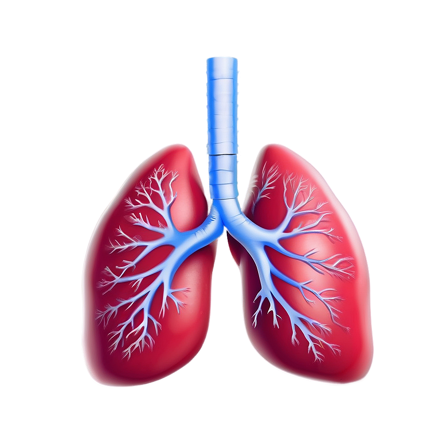 Lungs Breathing Animation Png 05232024