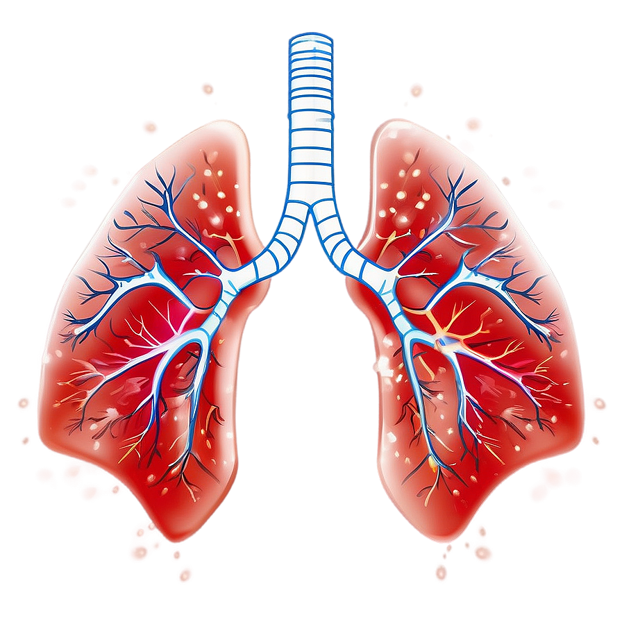 Lungs Breathing Animation Png 05232024