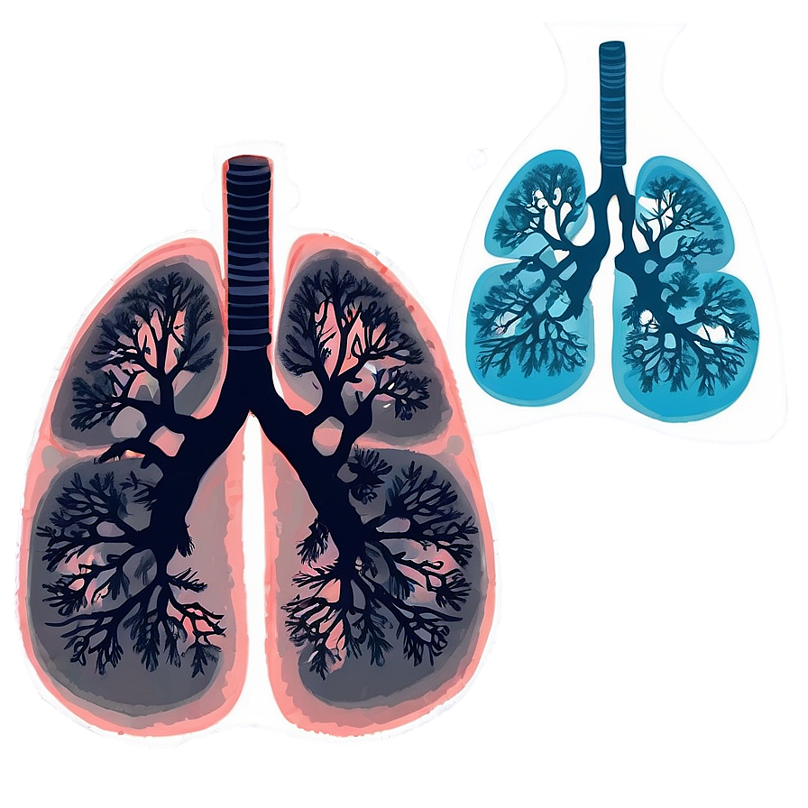 Lungs During Exercise Png Kdo82