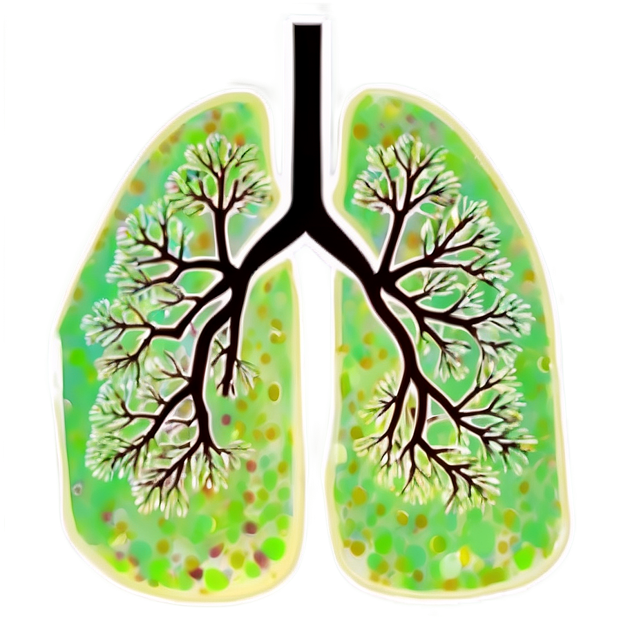 Lungs Environmental Impact Png 05232024