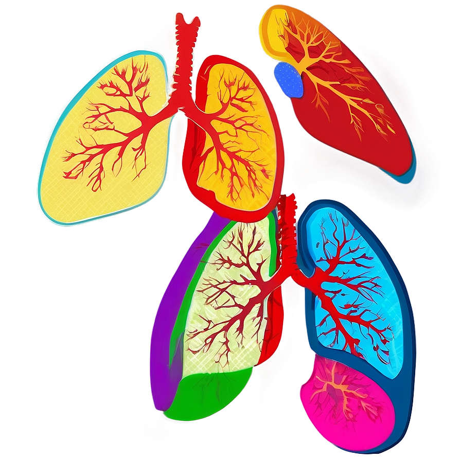 Lungs In Pop Art Style Png Kdg