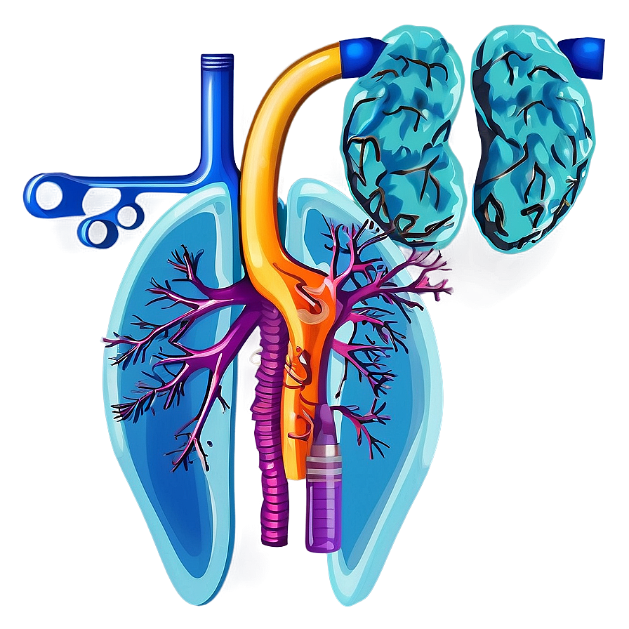 Lungs With Medical Tools Png 78