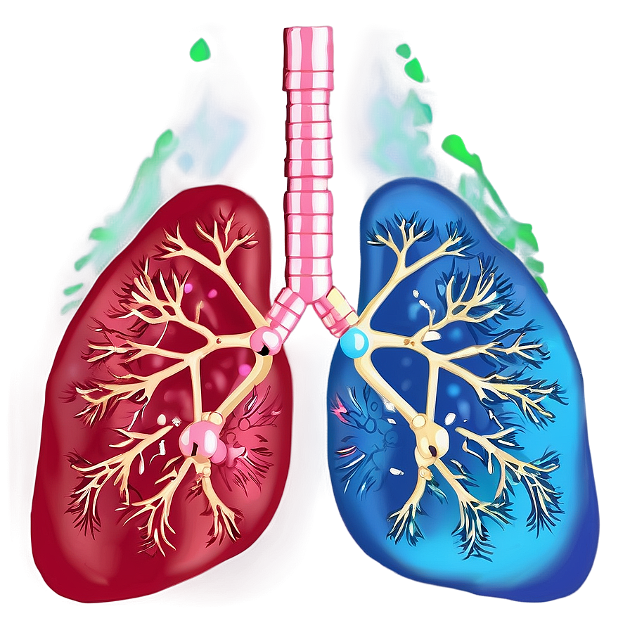 Lungs With Oxygen Molecules Png Yks17