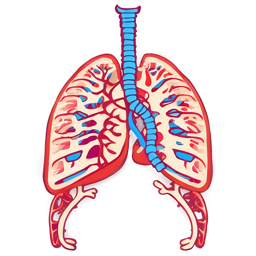 Lungs With Ribcage Outline Png Eok67