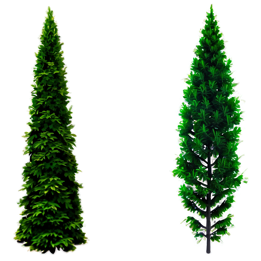 Lush Evergreen Tree Png Mhn