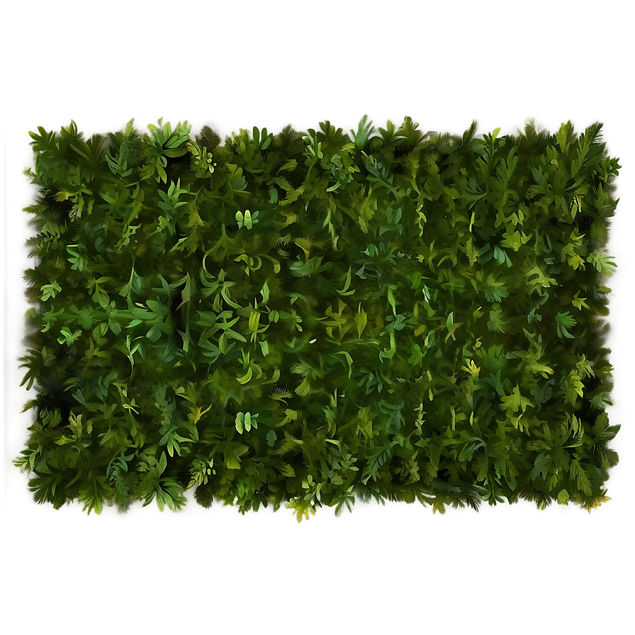 Lush Forest Carpet Texture Png 06292024