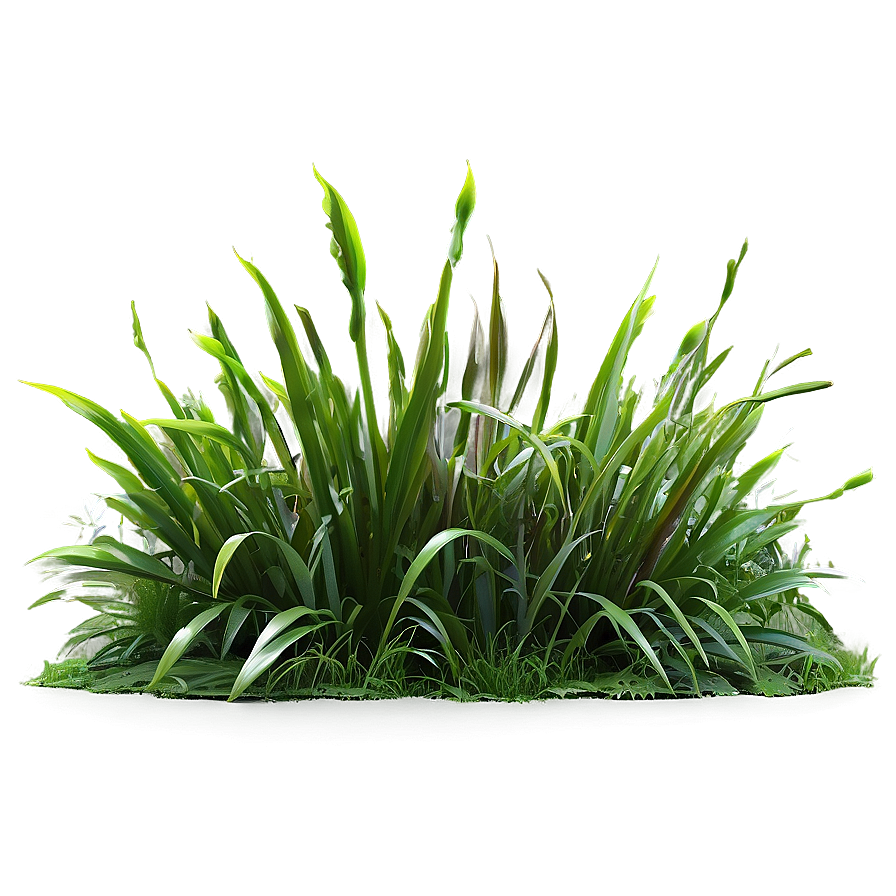 Lush Grass Patch Png Duw34