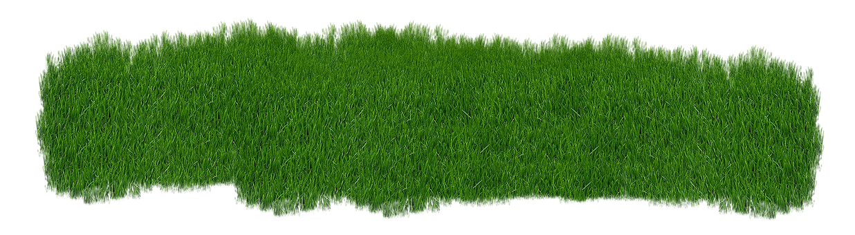 Lush Green Grass Texture Panorama