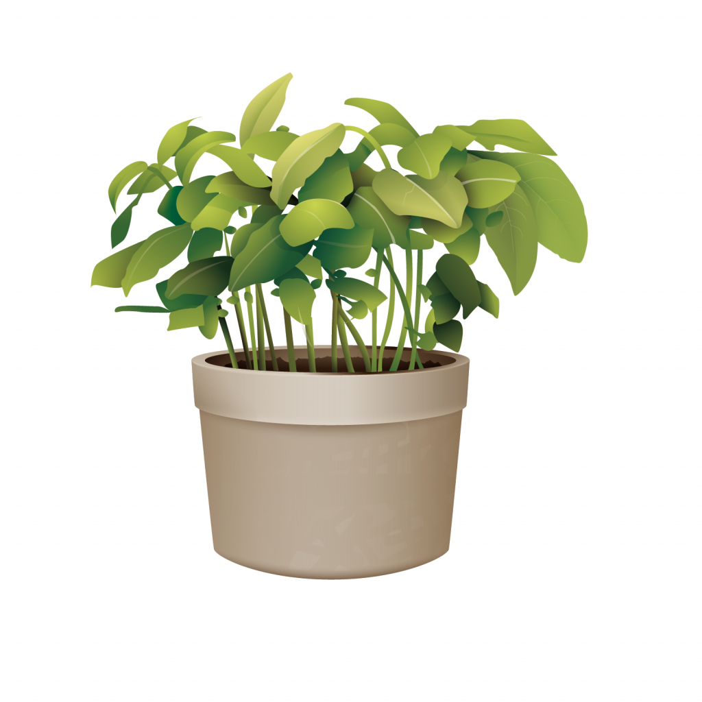 Lush Green Potted Plant Graphic