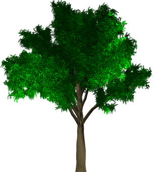 Lush Green Treeon Black Background